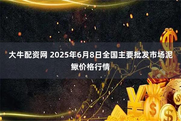 大牛配资网 2025年6月8日全国主要批发市场泥鳅价格行情
