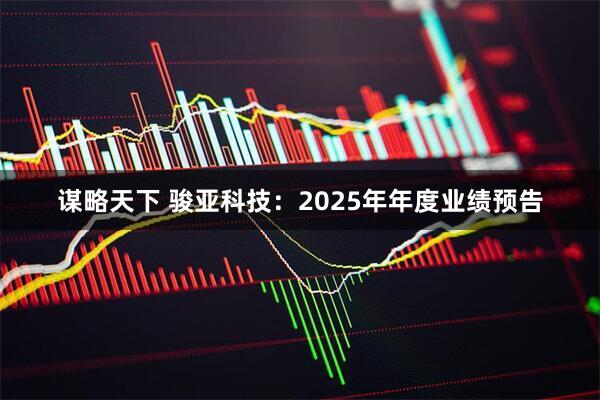 谋略天下 骏亚科技：2025年年度业绩预告