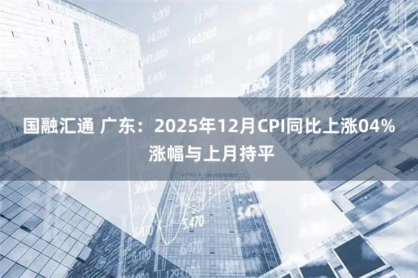 国融汇通 广东：2025年12月CPI同比上涨04% 涨幅与上月持平